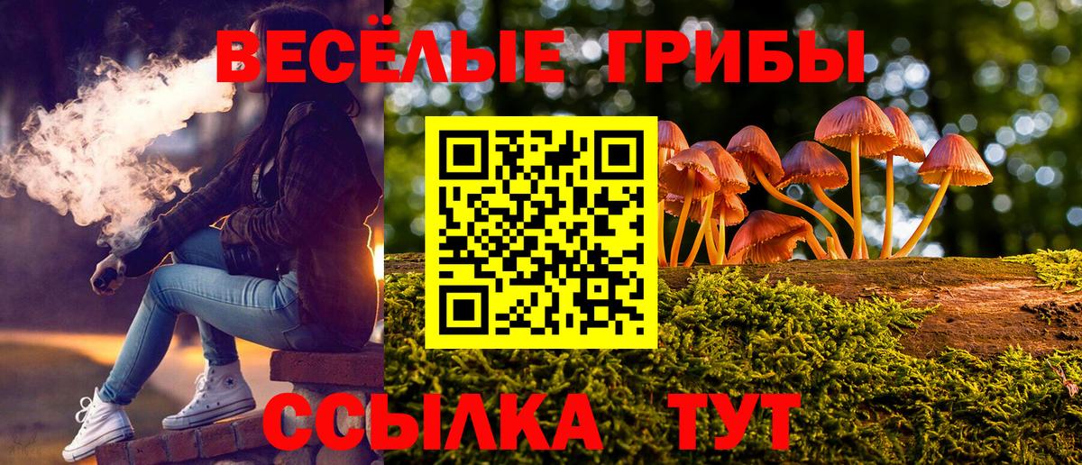Галлюциногенные грибы Magic Shrooms Михайловка