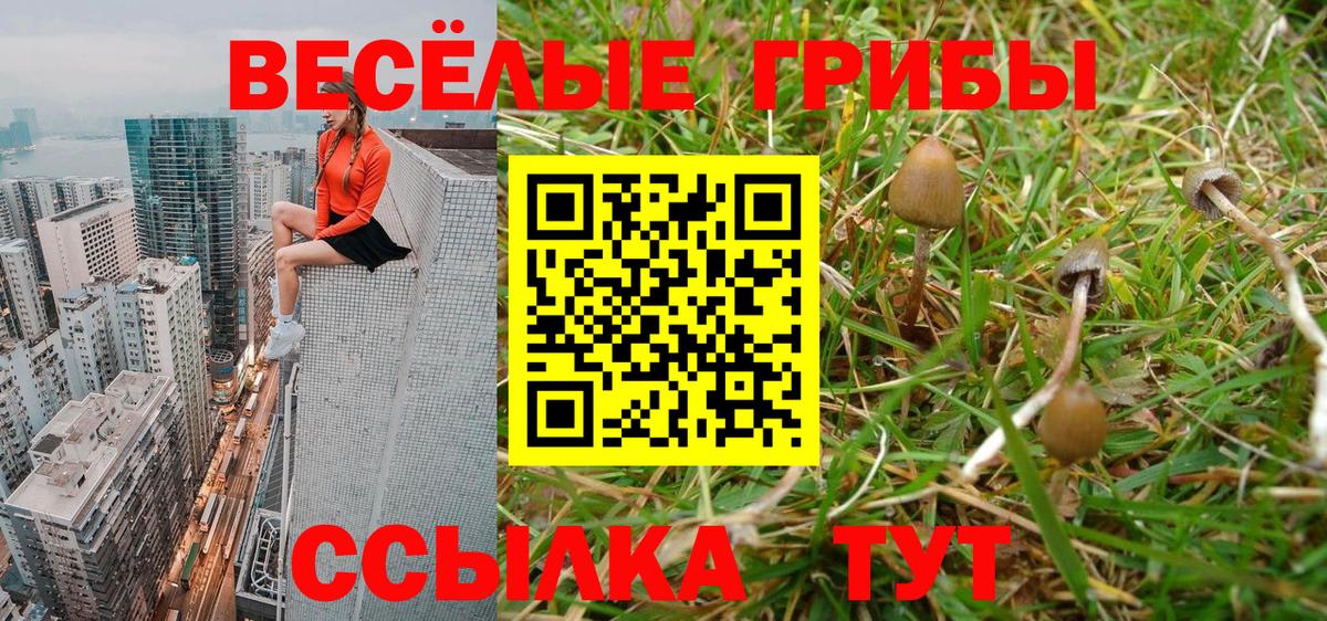 Псилоцибиновые грибы MAGIC MUSHROOMS  Вход с VPN  Михайловка  Галлюциногенные грибы прущие грибы 